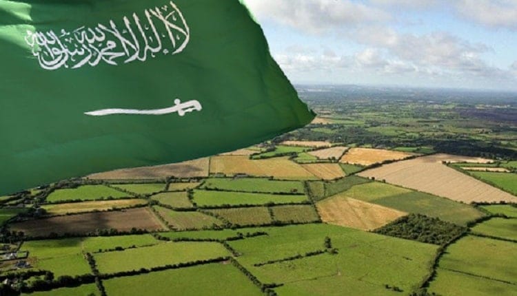 نسبة تغطية الإنتاج المحلي من المحاصيل الزراعية والثروة الحيوانية في المملكة العربية السعودية