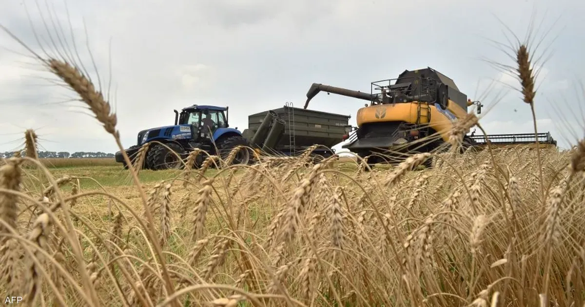 إحصائيات انتشار سوء التغذية بين الشعوب العربية