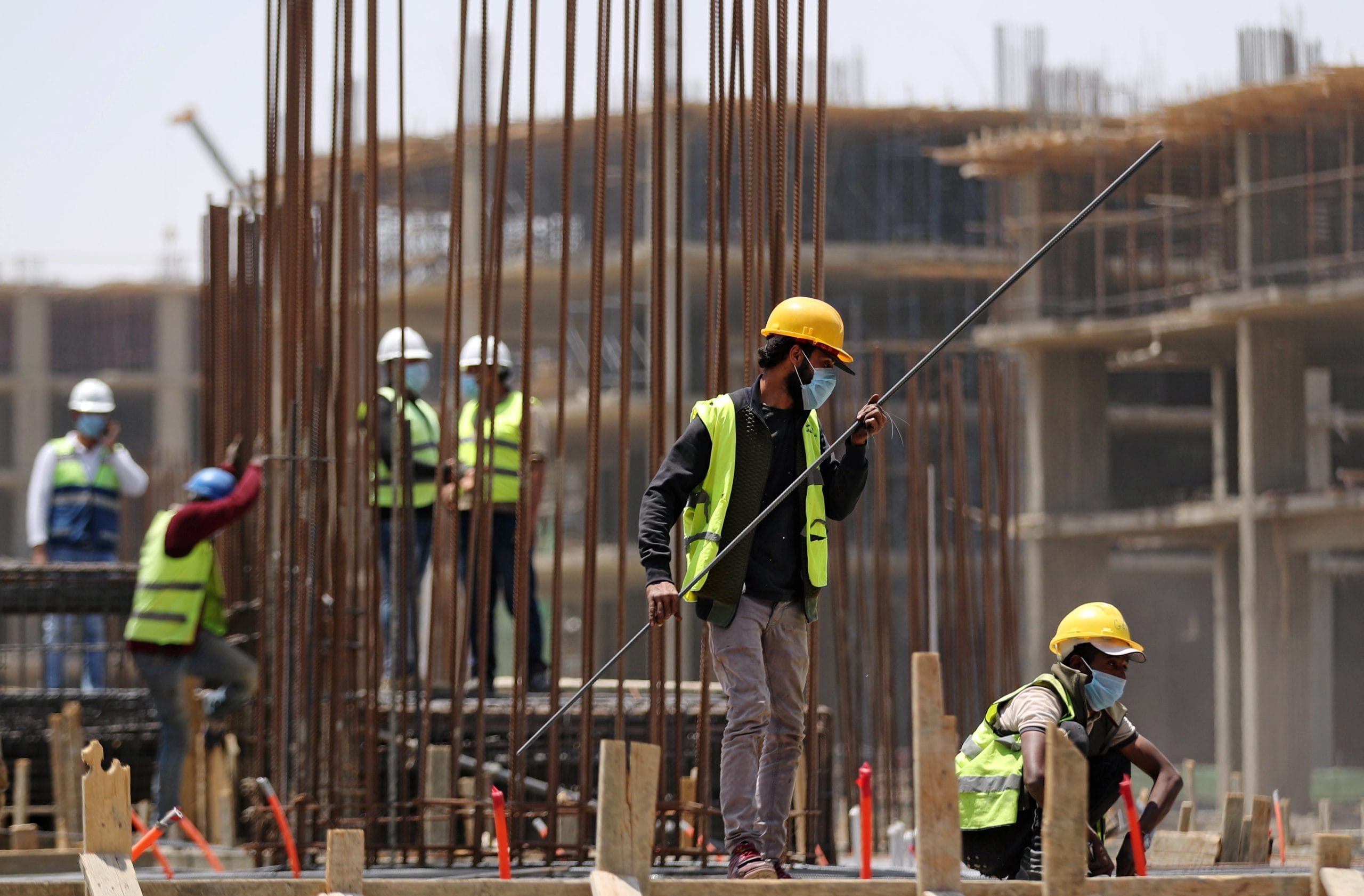 إحصاءات القوى العاملة في دول الخليج 2024